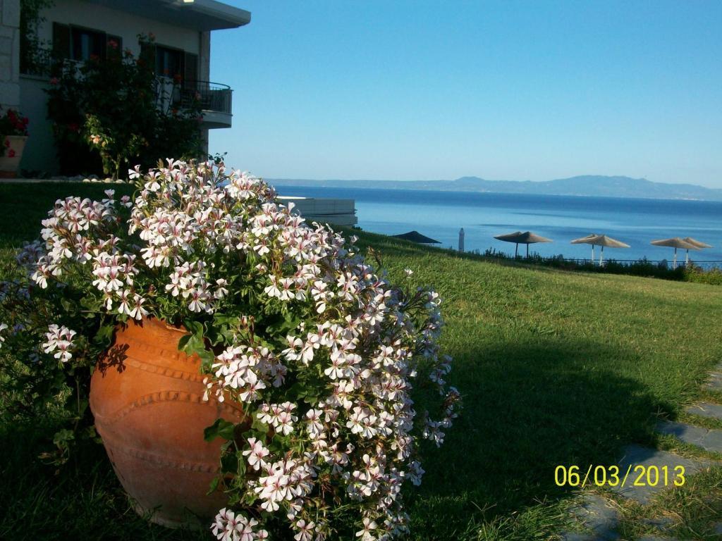 Aegean Blue Studios Afytos Esterno foto